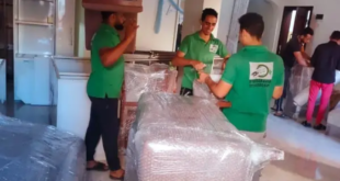 شركات نقل الاثاث في المعادى